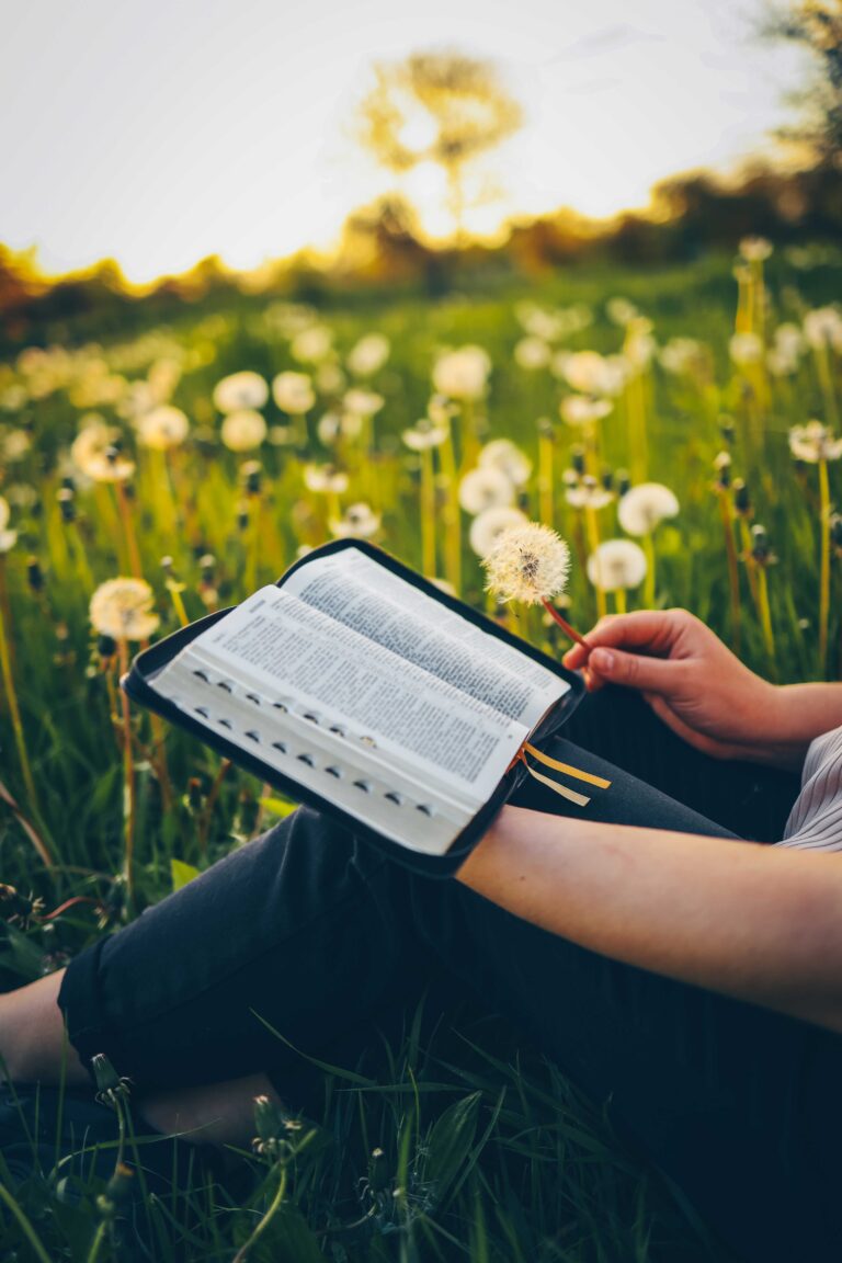 THE SCRIPTURES
